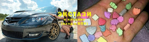 индика Бородино