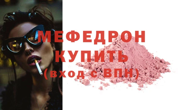 индика Бородино