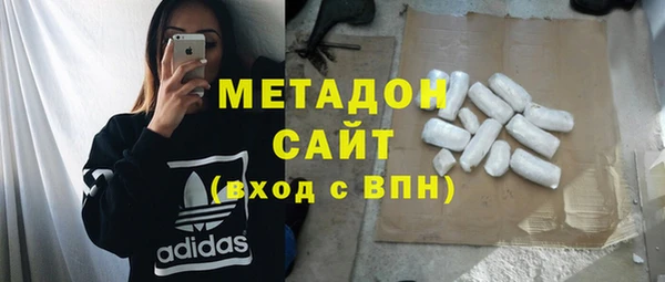 индика Бородино
