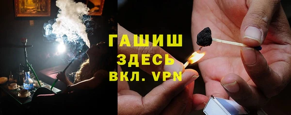 индика Бородино