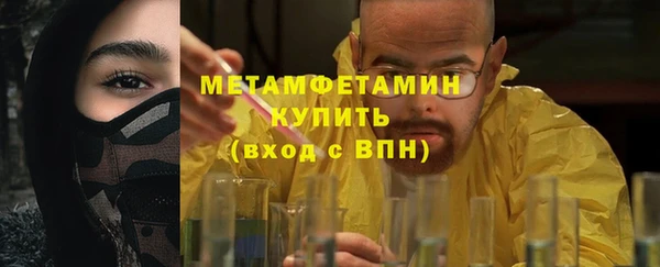 индика Бородино