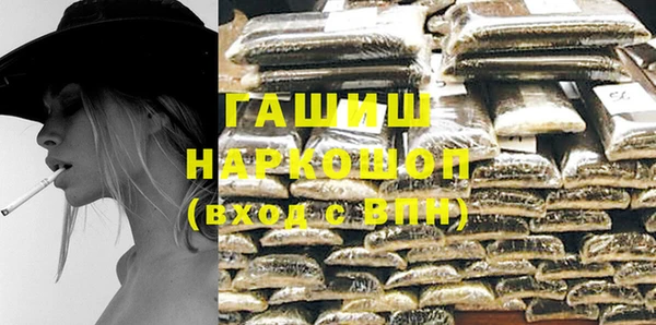 индика Бородино