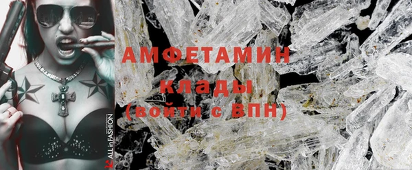 индика Бородино