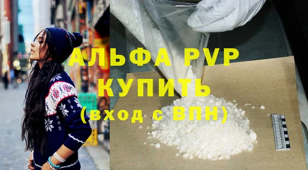 индика Бородино