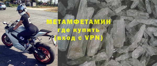 индика Бородино