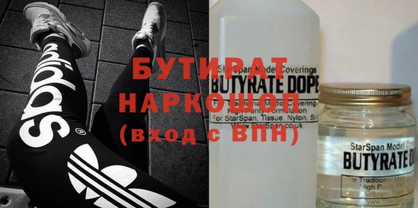 индика Бородино