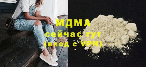 индика Бородино