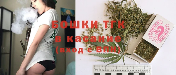 индика Бородино