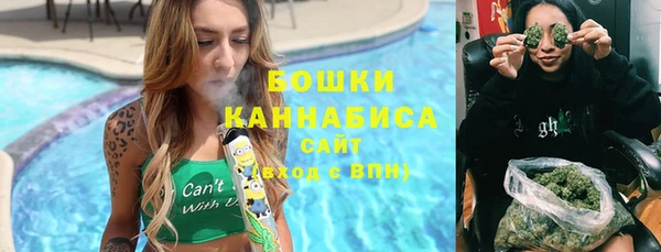 индика Бородино