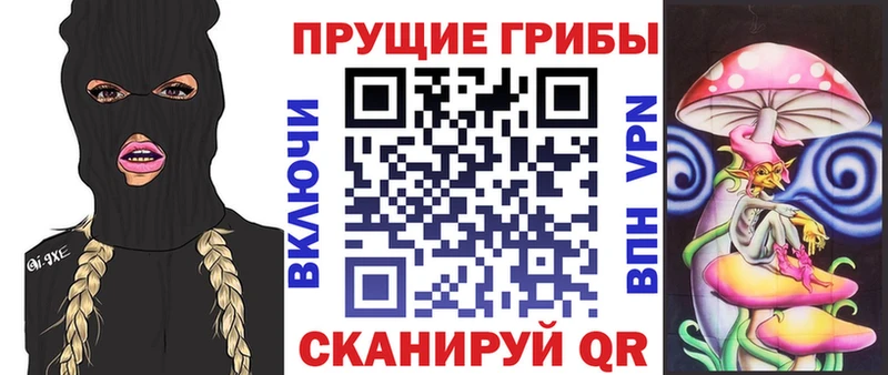 блэк спрут онион  Ветлуга  Галлюциногенные грибы GOLDEN TEACHER 